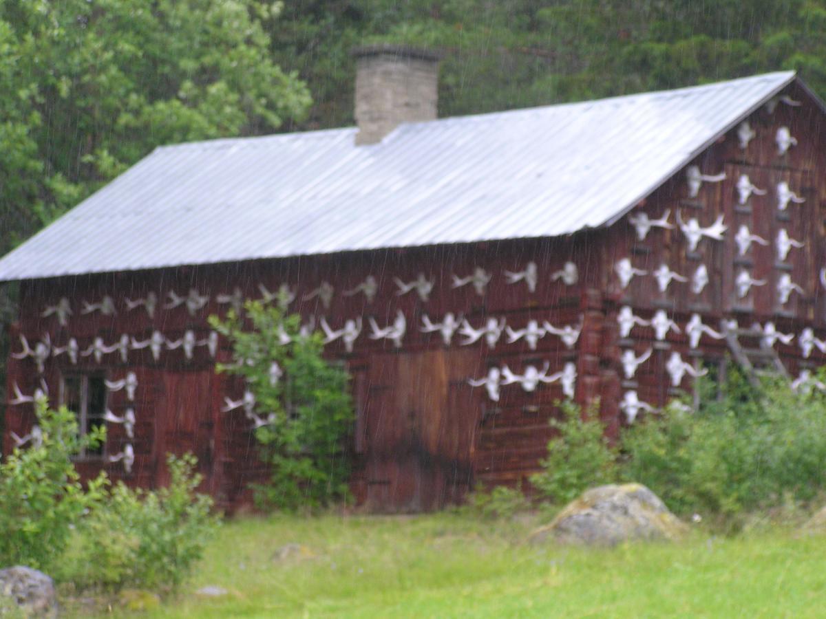 Fredrika Hotell Jakt&Fiskecamp Exterior photo